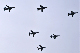 image0438