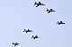 image0440