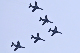 image0451