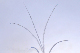 image0474