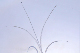 image0475