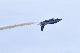 image0484