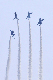 image0491