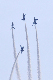 image0492