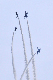 image0493