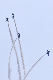 image0494