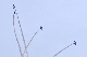 image0495