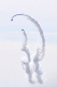 image0498