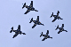 image0557