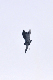 image0827