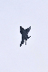 image0828
