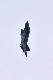 image0831