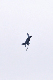 image0873