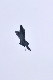 image0876