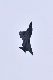 image0878