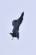 image0879
