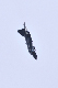image0889