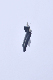 image0891