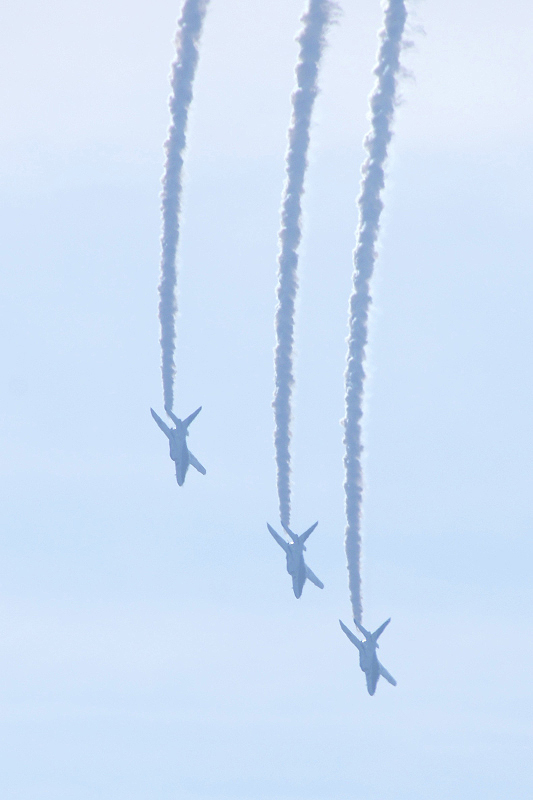 image0171