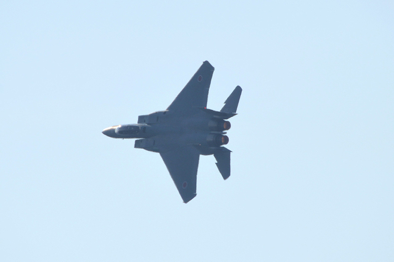 image0798