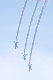 image0170