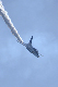 image0261