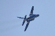 image0276