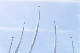 image0291