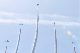 image0293