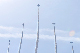 image0294