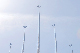 image0296