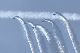 image0322