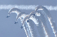 image0324