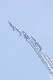 image0361