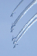 image0377