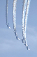 image0382