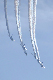 image0383