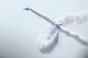 image0579