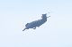 image0654