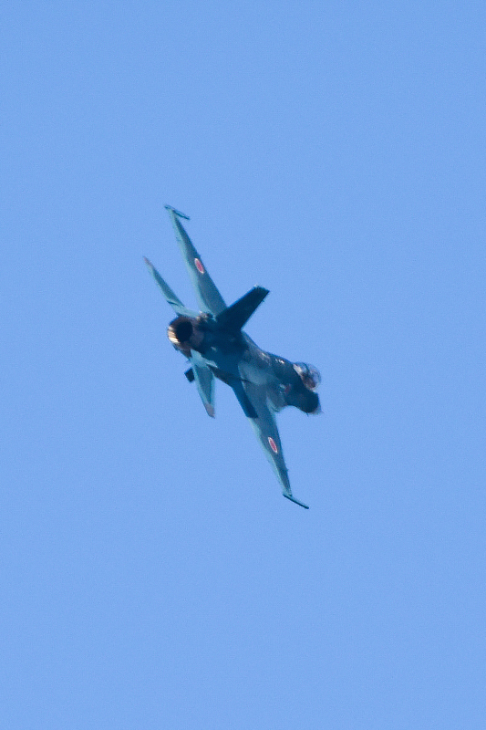 image0156