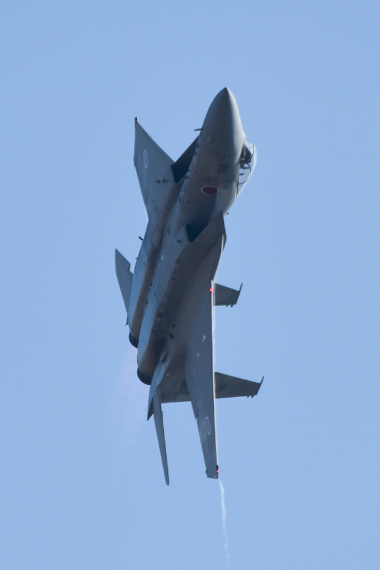 image0181