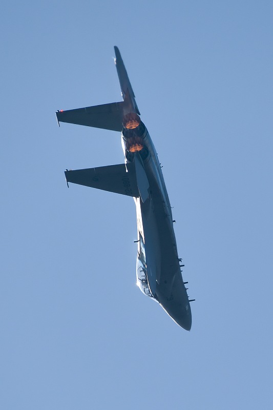 image0194