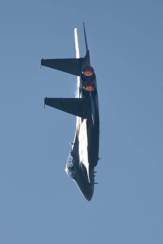 image0195