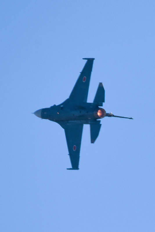 image0225