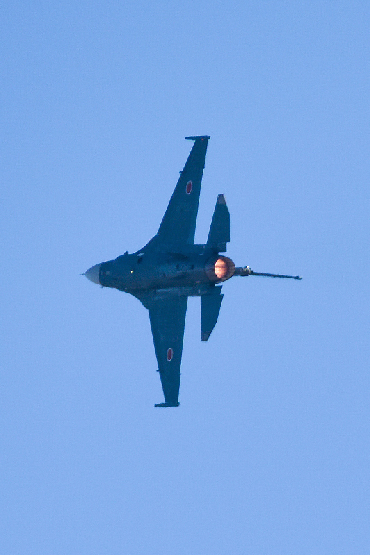 image0226