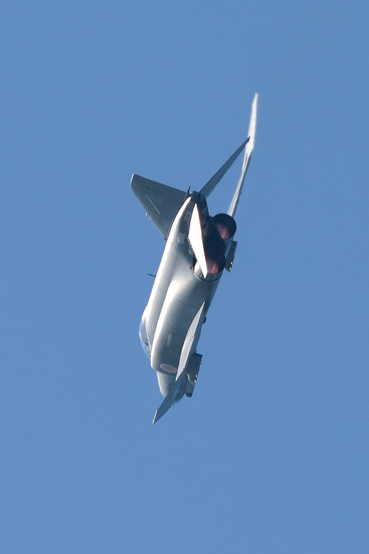 image0259