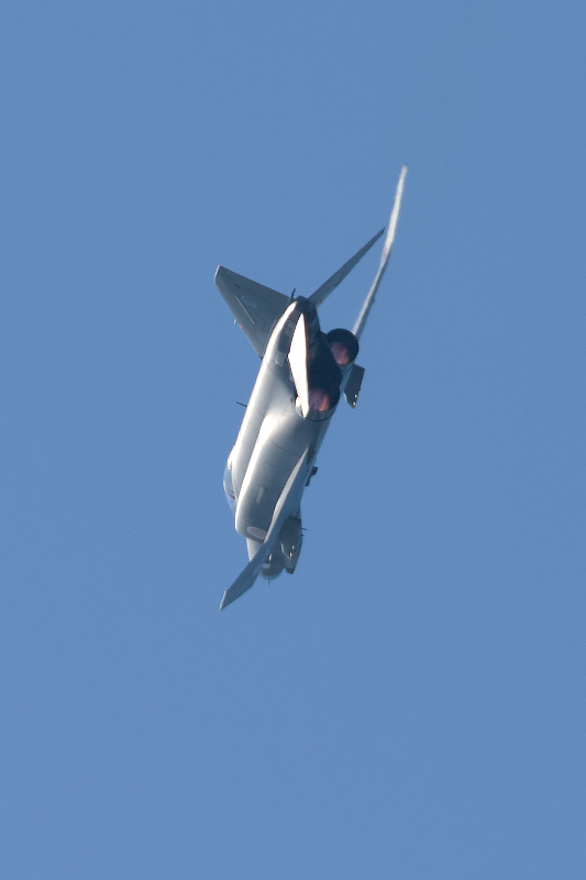 image0261