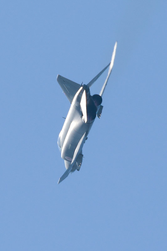 image0263
