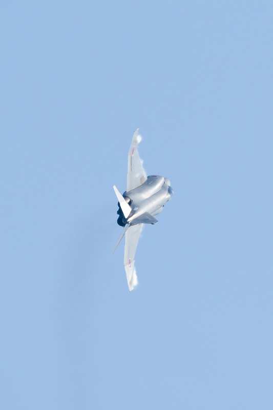image0347