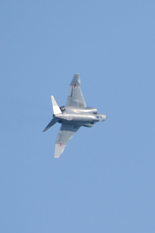 image0351